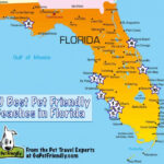 10 Of The Best Pet Friendly Beaches In Florida Gopetfriendly Best