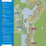 2013 Caribbean Beach Resort Guide Map Photo 1 Of 6