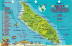 29 Aruba Map Of Resorts Maps Online For You