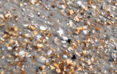 30 Venice Beach Florida Shark Teeth Map Maps Database Source