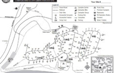 6 New Brighton State Beach Camping Guides Get The Best Outdoor Stay