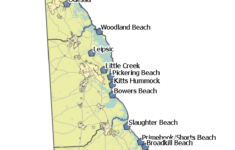 About Delaware Coastal Flood Monitoring System