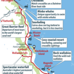 Airlie Beach Australia Map Share Map