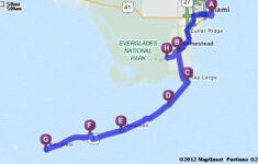 Beach Shells Local Places