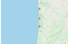 Cannon Beach Elopement Guide For A Calm Epic Elopement Celebrate Again