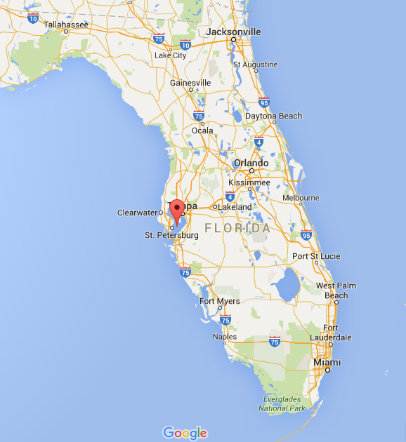 Come To Tampa Bay Hotel Deals Tampa Bay