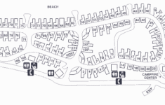 Day Use And Campers Doheny State Beach Interpretive Association