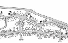 Doheny State Beach Camping Day Use Best Campsites