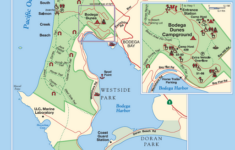 Doran Or Westside Campground In June Bodega Bay Forum Tripadvisor