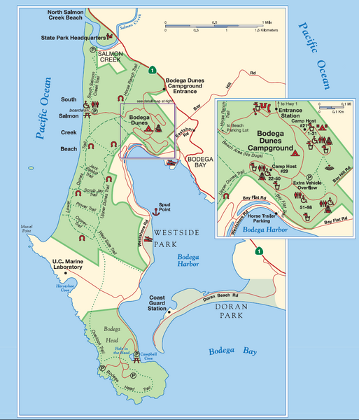 Doran Or Westside Campground In June Bodega Bay Forum Tripadvisor