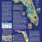 Florida Sinkhole Map Florida Sinkhole Map Florida Ocala Florida