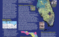 Florida Sinkhole Map Florida Sinkhole Map Florida Ocala Florida
