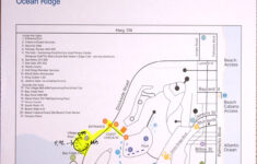 From Beaches To Peaches