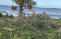Gamble Rogers Memorial Recreation Area Flagler Beach Florida US