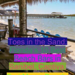 Looking For The Best Beach Bars In Florida S Southwest Coast Fun