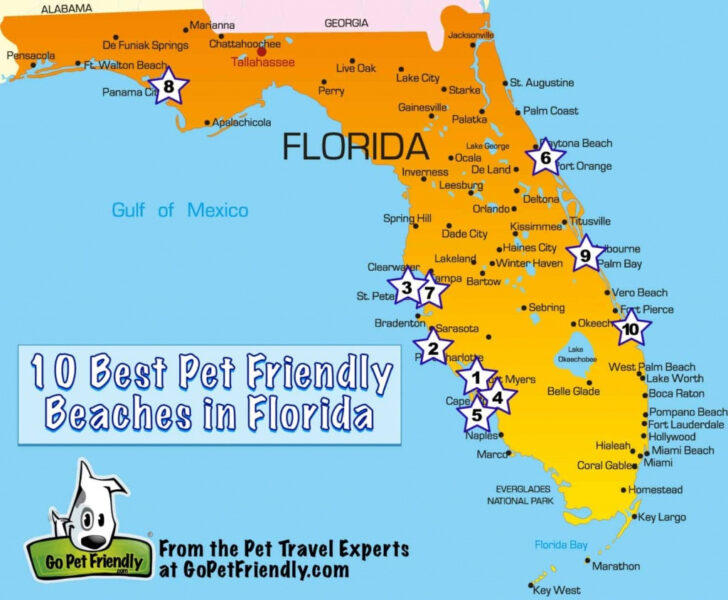 Florida West Coast Beach Map