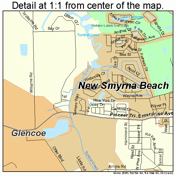 New Smyrna Beach Florida Street Map 1248625