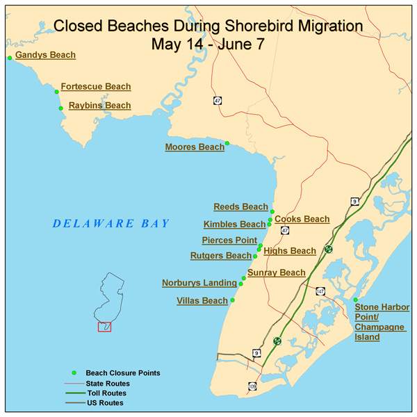 NJDEP Division Of Fish Wildlife 2005 Delaware Bay Beach Closure 