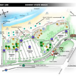 Picnic Area Reservations Up To 100 People Doheny State Beach