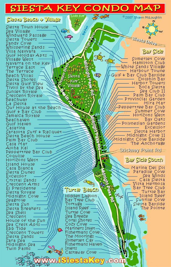 Pin By Debbie McMannis On Vacation Spots Siesta Key Beach Siesta Key 