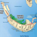 Sanibel Island FL The World S Best Shelling Beaches Beach Bliss