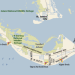 Sanibel Island Map Free Printable Maps