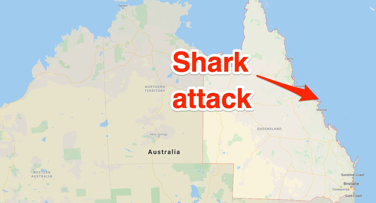 Shark Bites Off UK Tourist s Foot On Australia Snorkeling Cruise 