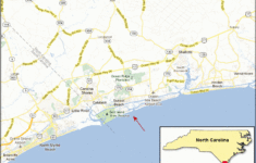 Sunset Beach North Carolina Marine Mollusk Checklist