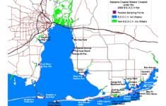 Swimming Advisory Issued For Bon Secour Bay At Mary Ann Nelson Park