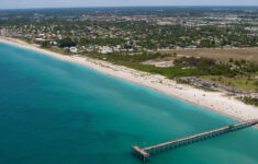 Venice Beach South Florida USA Ultimate Guide July 2020