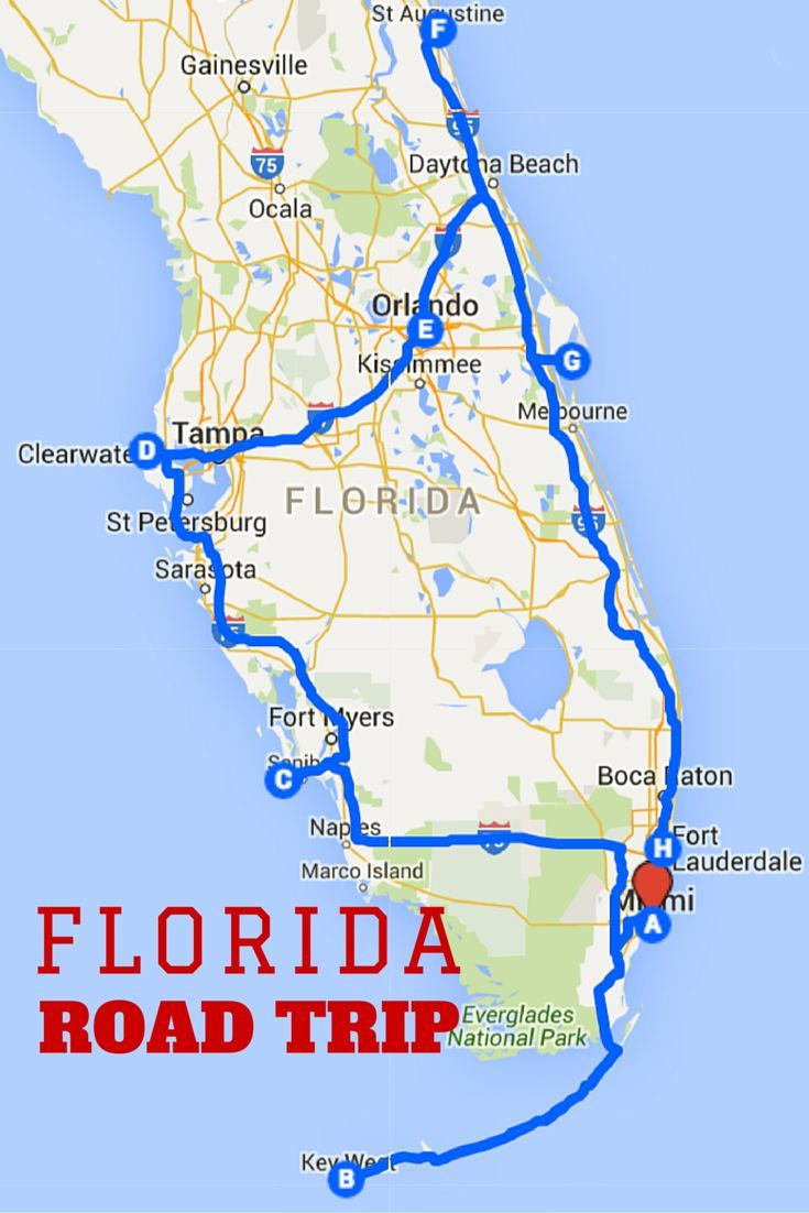 1-Week Florida Road Trip: Miami, The Atlantic Coast, &amp;amp; Orlando with Driving Map of Florida Gulf Coast