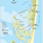 Arcnews Fall 2003 Issue    New Jersey Ngos Experience The Power Of Gis For Island Beach State Park Map New Jersey