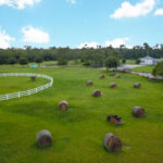 Bending Branch Ranch   New Smyrna Beach, Fl   Wedding Venue For Map Of Martins Dairy Rd New Smyrna Beach Fl