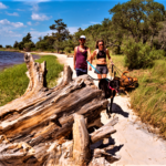 Carolina Beach State Park | Carolina Beach, Nc 28428 Inside Carolina Beach State Park Camping Map