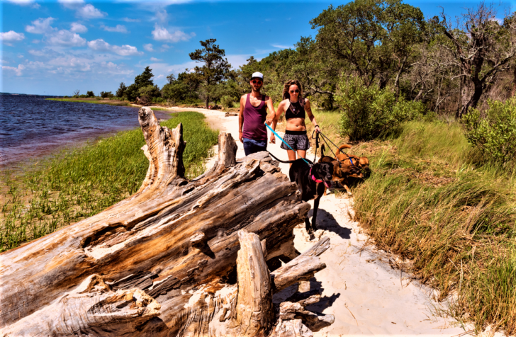 Carolina Beach State Park Camping Map