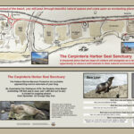 Carpinteria Seal Watch – Welcome! Regarding Carpinteria State Beach Campground Map
