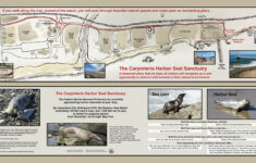 Carpinteria Seal Watch – Welcome! regarding Carpinteria State Beach Campground Map