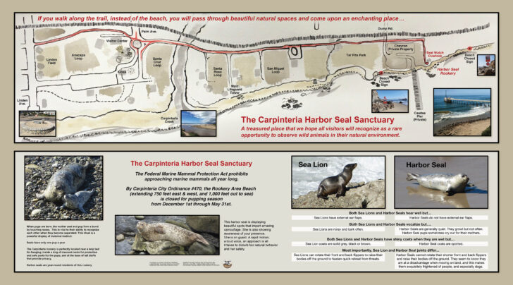 Carpinteria State Beach Campground Map