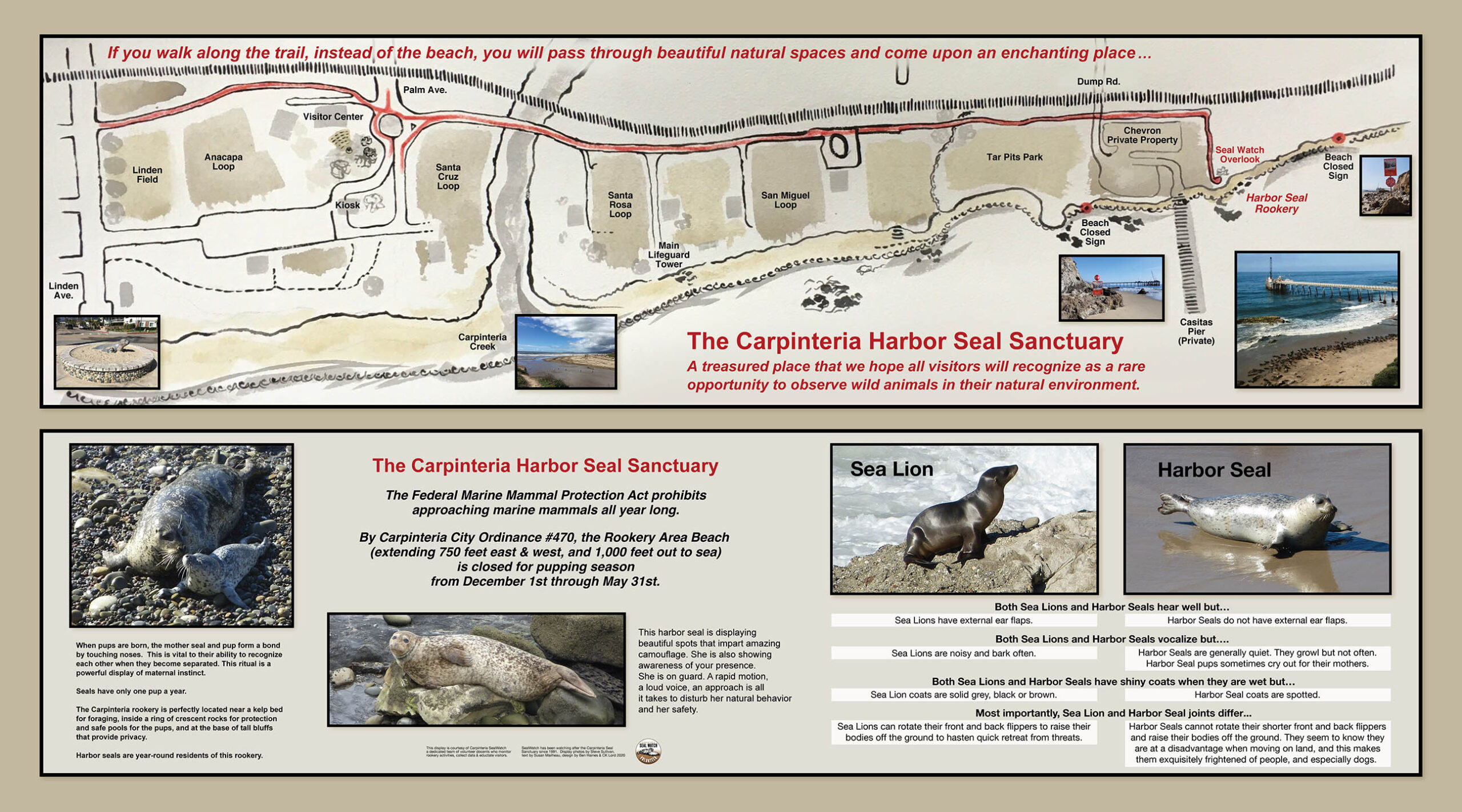 Carpinteria Seal Watch – Welcome! regarding Carpinteria State Beach Campground Map