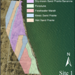 Coastal Habitat Maps Along Illinois Beach State Park, Derived From Throughout Illinois Beach State Park Map