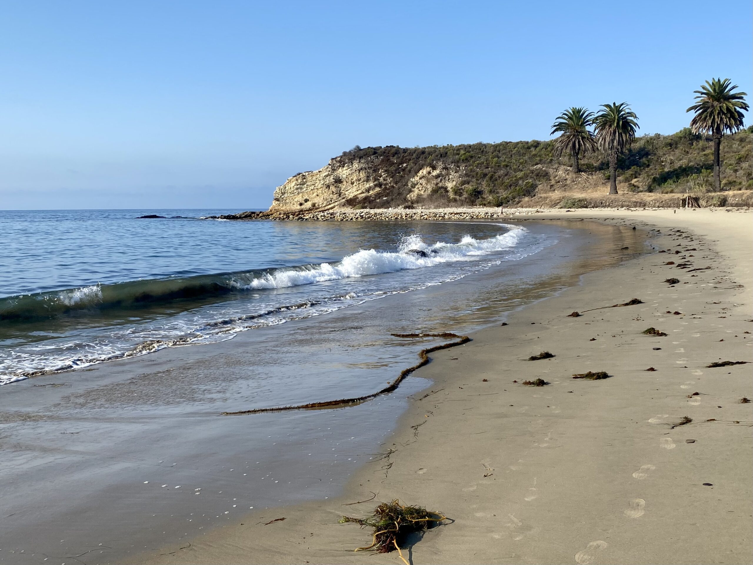 Complete Guide To Family Camping At Refugio State Beach | Simply in Refugio State Beach Campsite Map