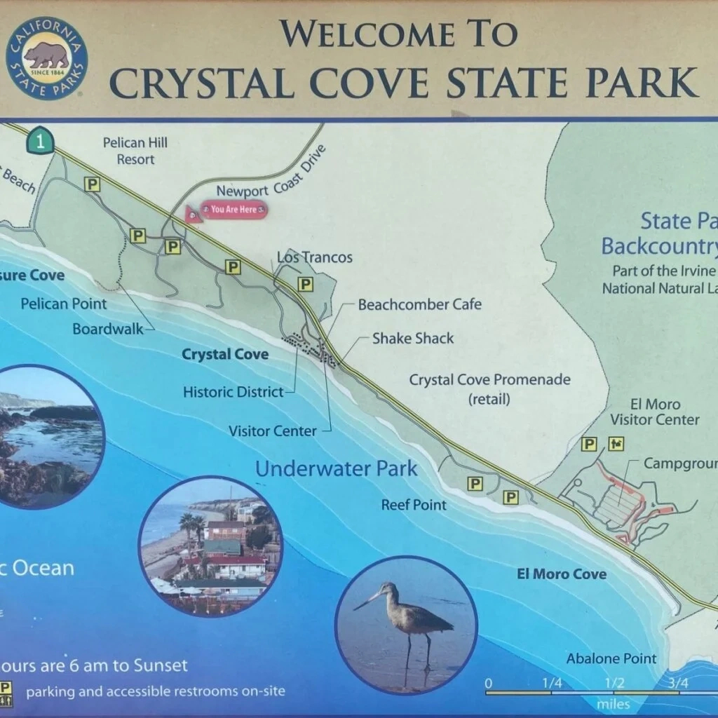 Crystal Cove State Park | Enjoy Oc with regard to Crystal Cove Beach Cottages Map