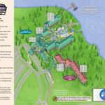 Disney Vacation Club Resort Maps: Find Your Way Around Dvc Resorts Throughout Map Of Disney Vero Beach Resort