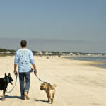 Dog Friendly Beaches On The Florida Panhandle | Gopetfriendly In Dog Friendly Beaches In Florida Map
