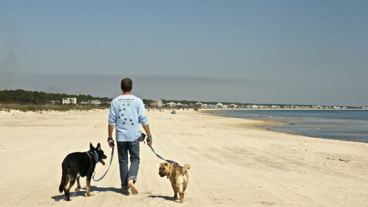 Dog Friendly Beaches in Florida Map