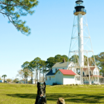 Dog Friendly Beaches On The Florida Panhandle | Gopetfriendly Inside Map Of Dog Friendly Beaches In Florida