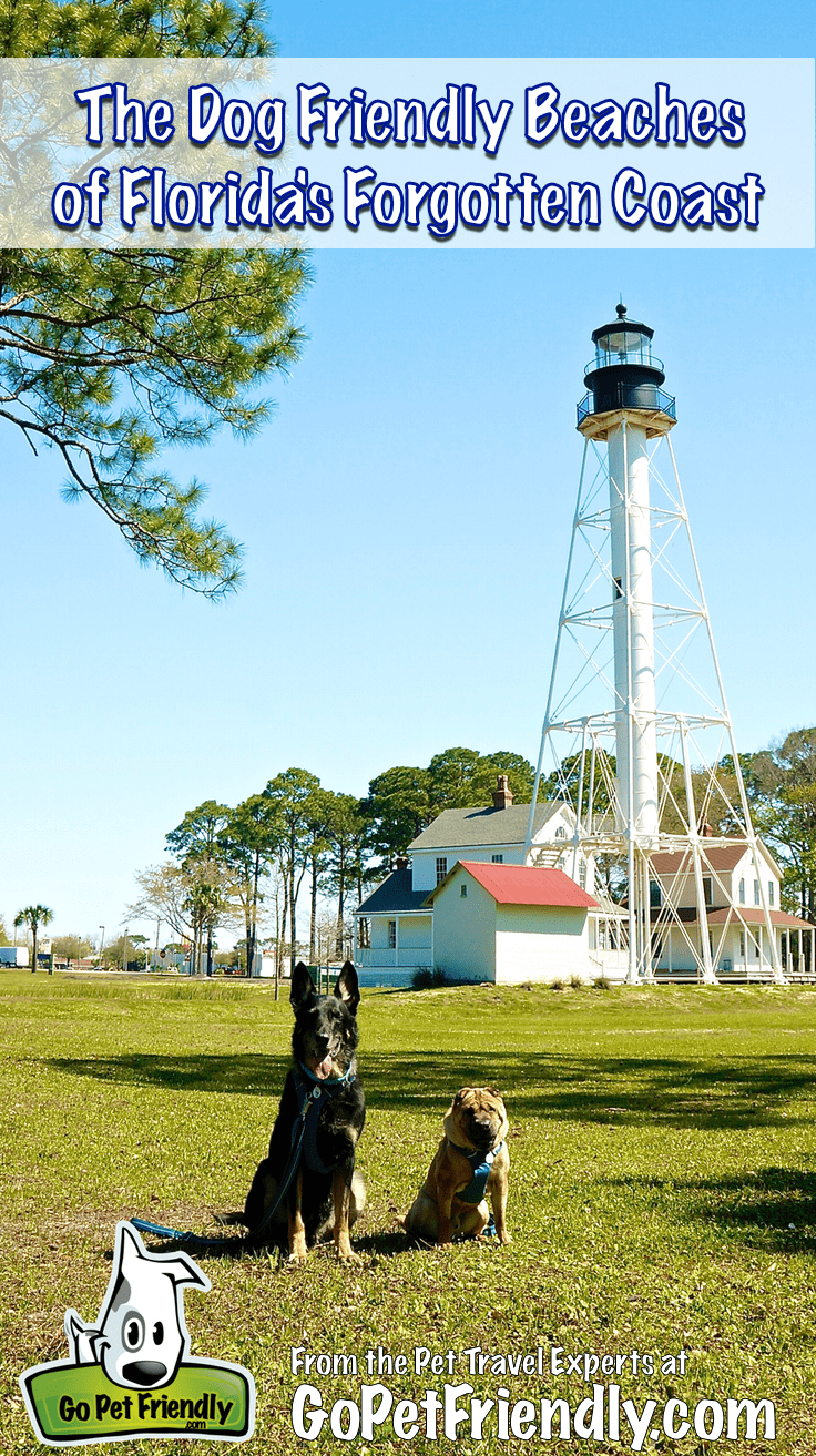 Dog Friendly Beaches On The Florida Panhandle | Gopetfriendly inside Map Of Dog Friendly Beaches In Florida