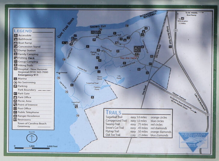 Carolina Beach State Park Campground Map