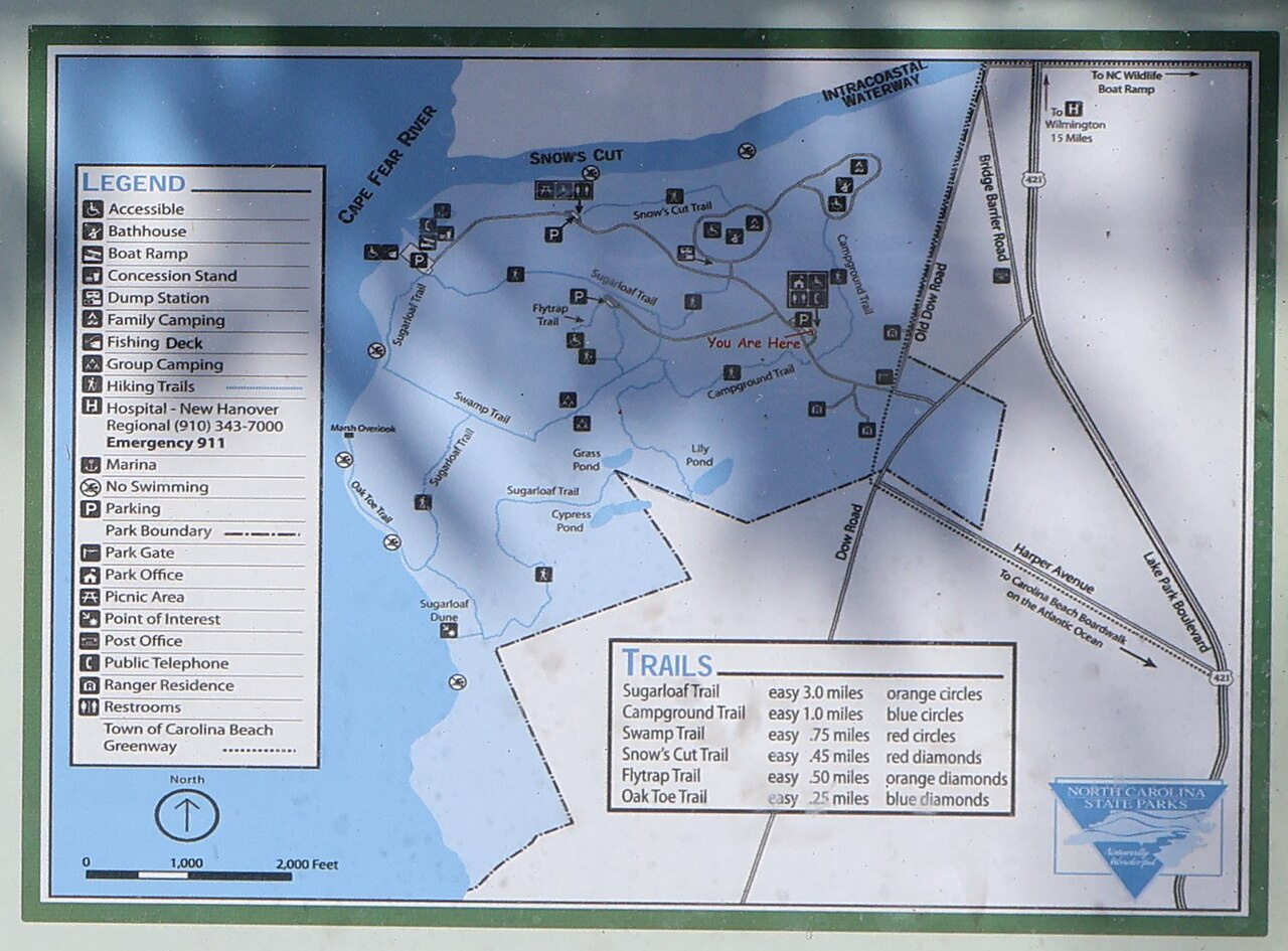 File:map Of Carolina Beach State Park - Wikimedia Commons for Carolina Beach State Park Campground Map