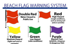 Florida Beach Flags &amp; Safety Info | Hilton Sandestin Beach Resort throughout Miramar Beach Flag Today Map